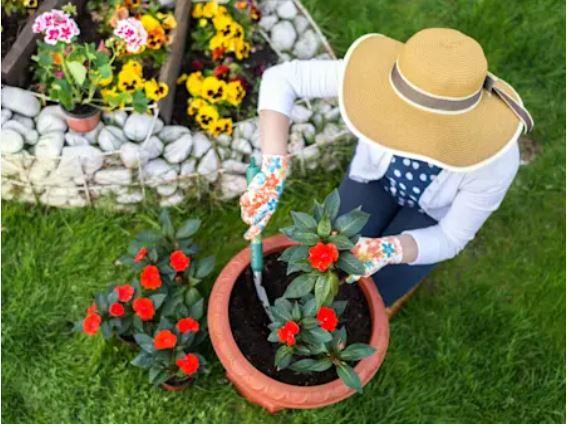 مشکلات پوستی هنگام باغبانی